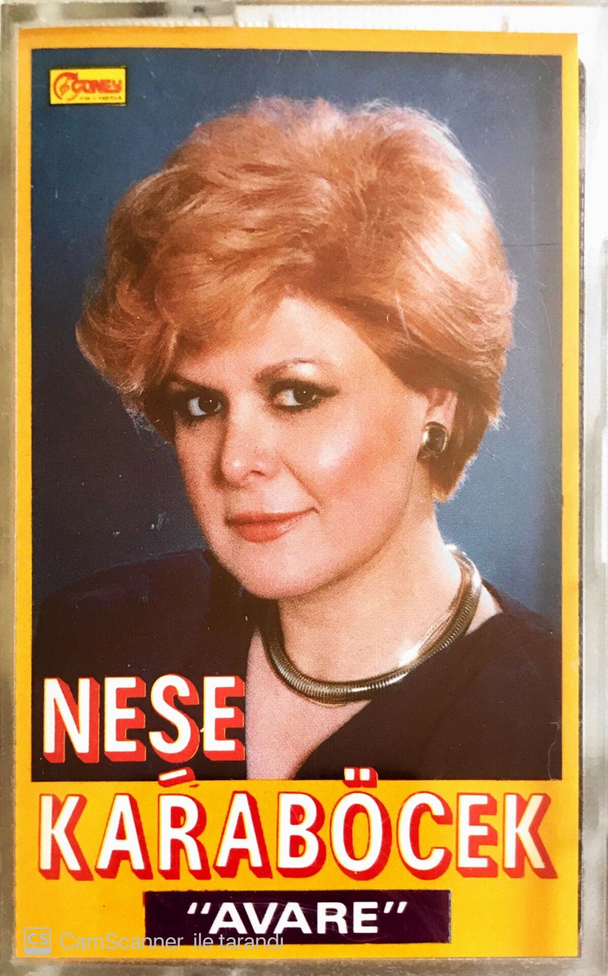 Neşe Karaböcek - Avare - KASET