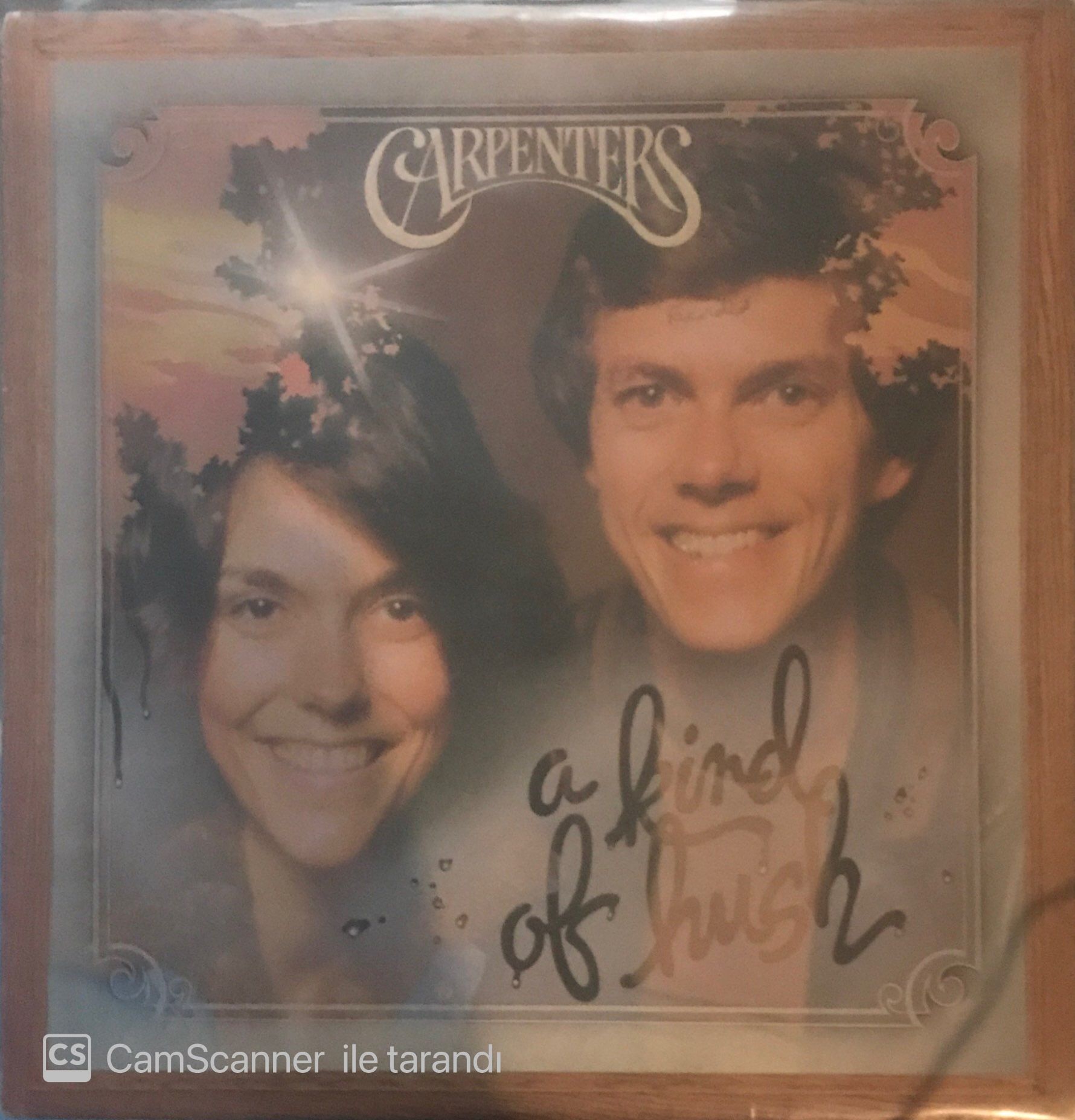 Carpenters A Kind Of Hush LP