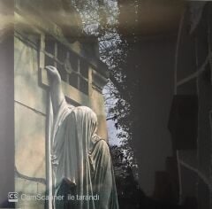 Dead Can Dance -  Within The Realm Of A Dying Sun - LP