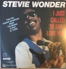 Stevie Wonder  -I Just Called To Say I Love You 45lik