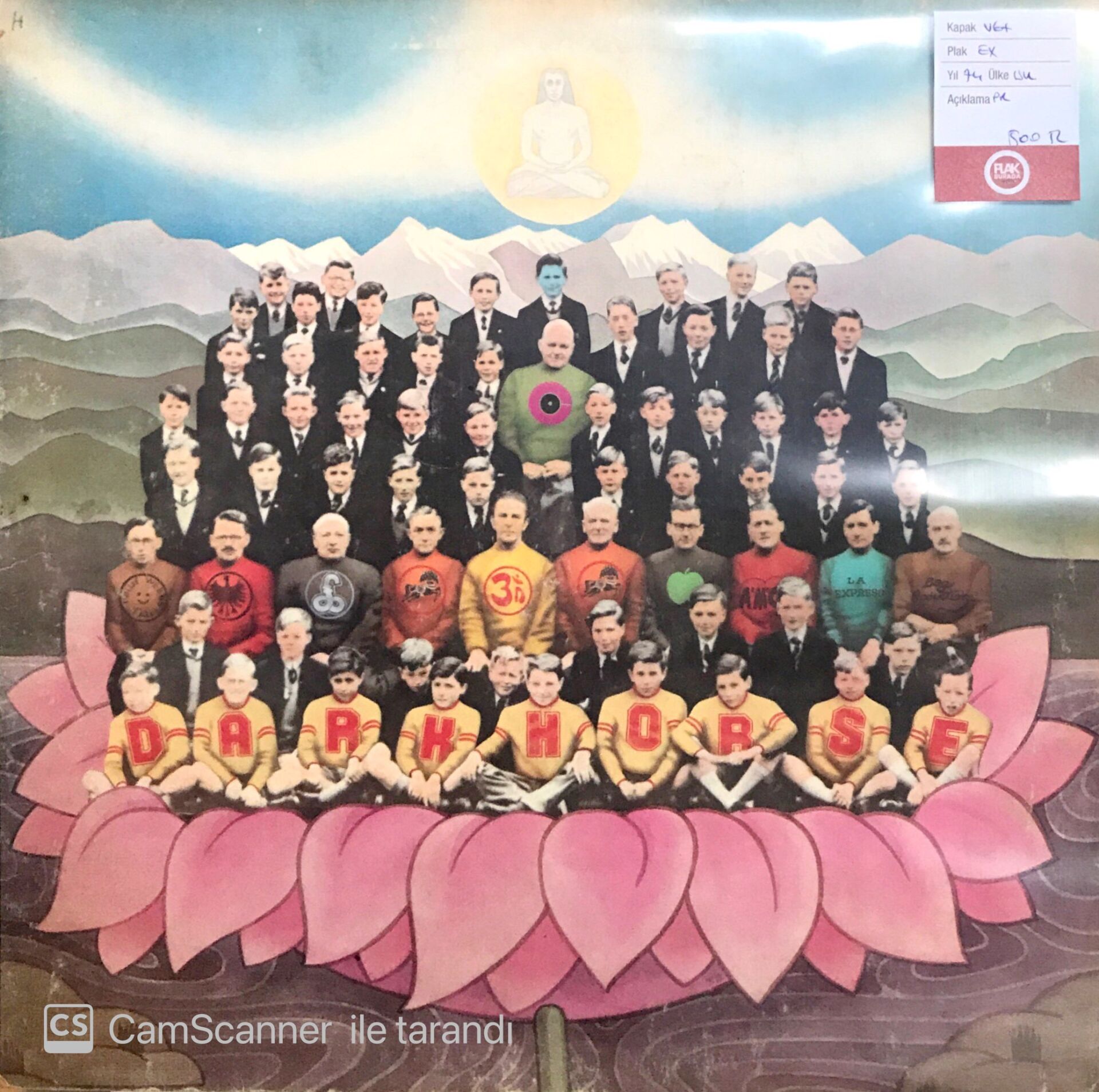 George Harrison / Dark Horse LP