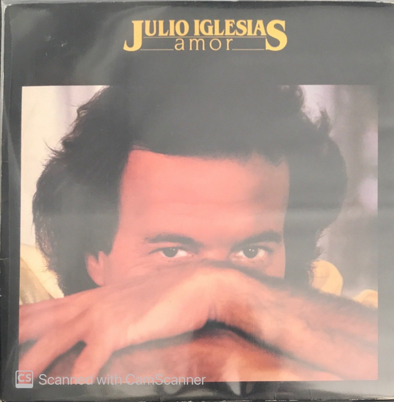 Julio Iglesias Amor LP