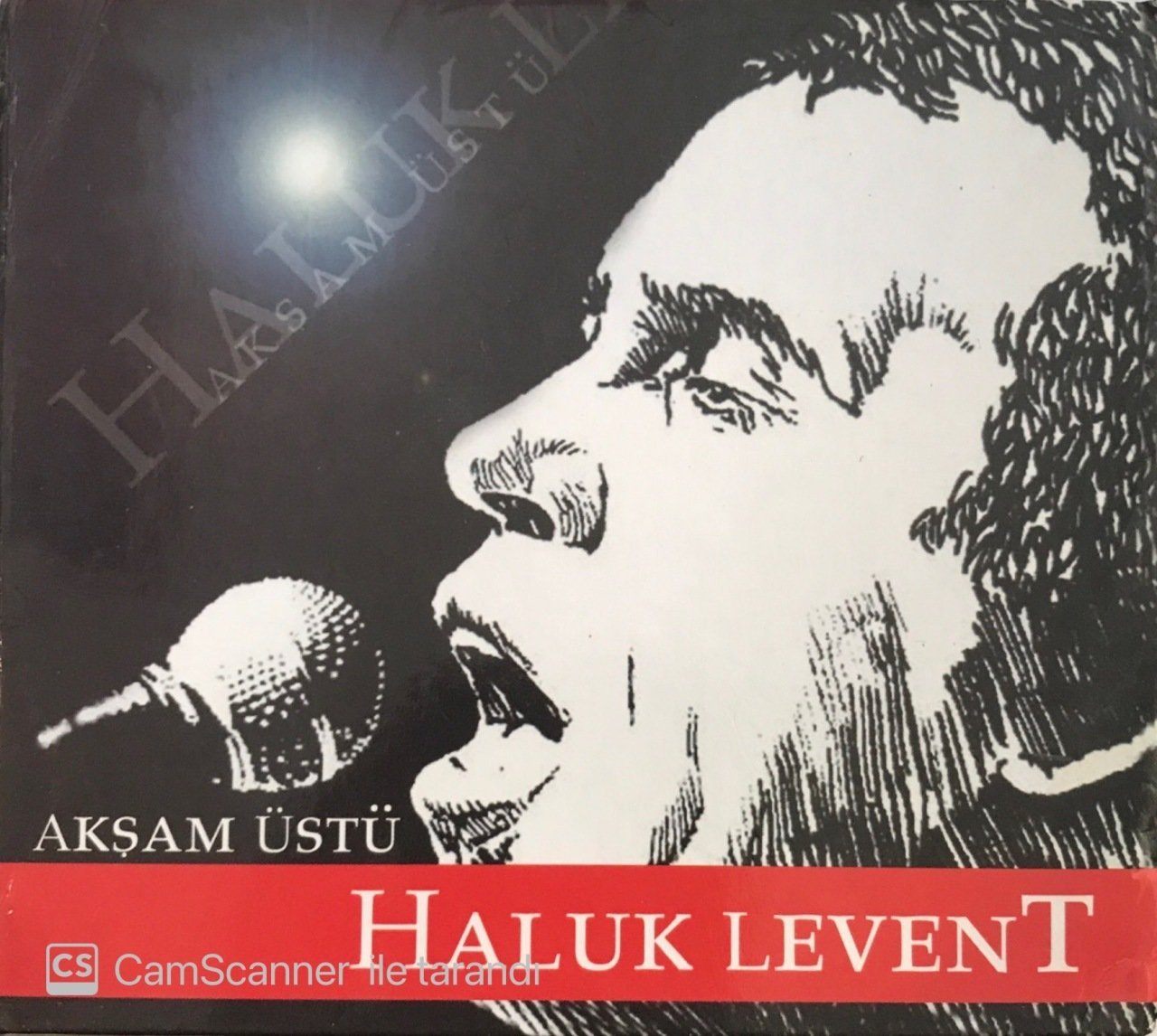 Haluk Levent Akşam Üstü CD