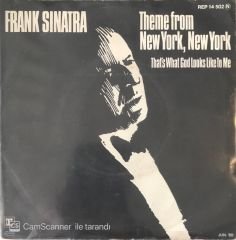 Frank Sinatra Theme From New York New York 45lik