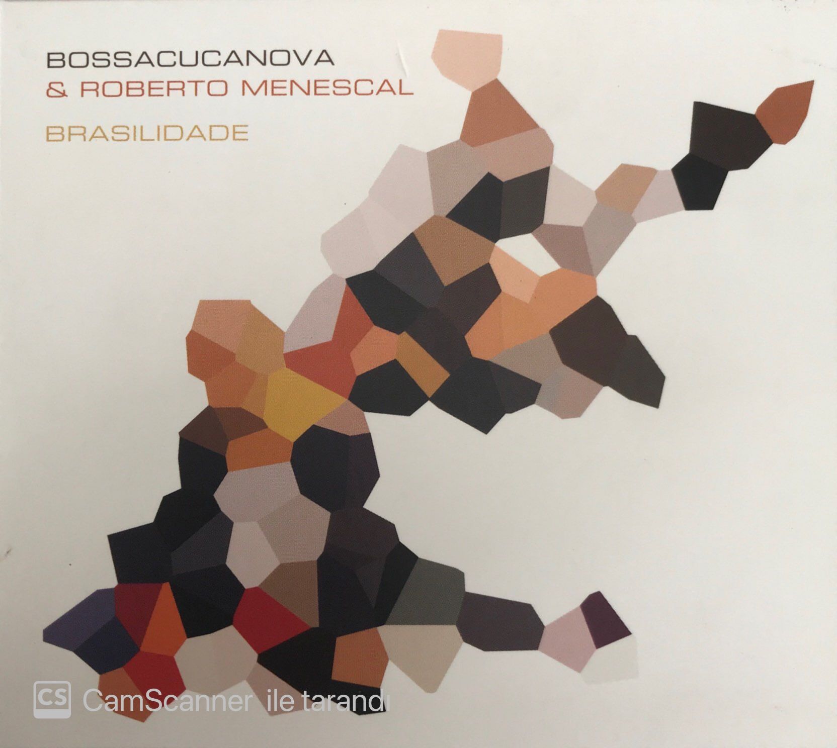 Bossacucanova & Roberto Menescal Brasilidade CD
