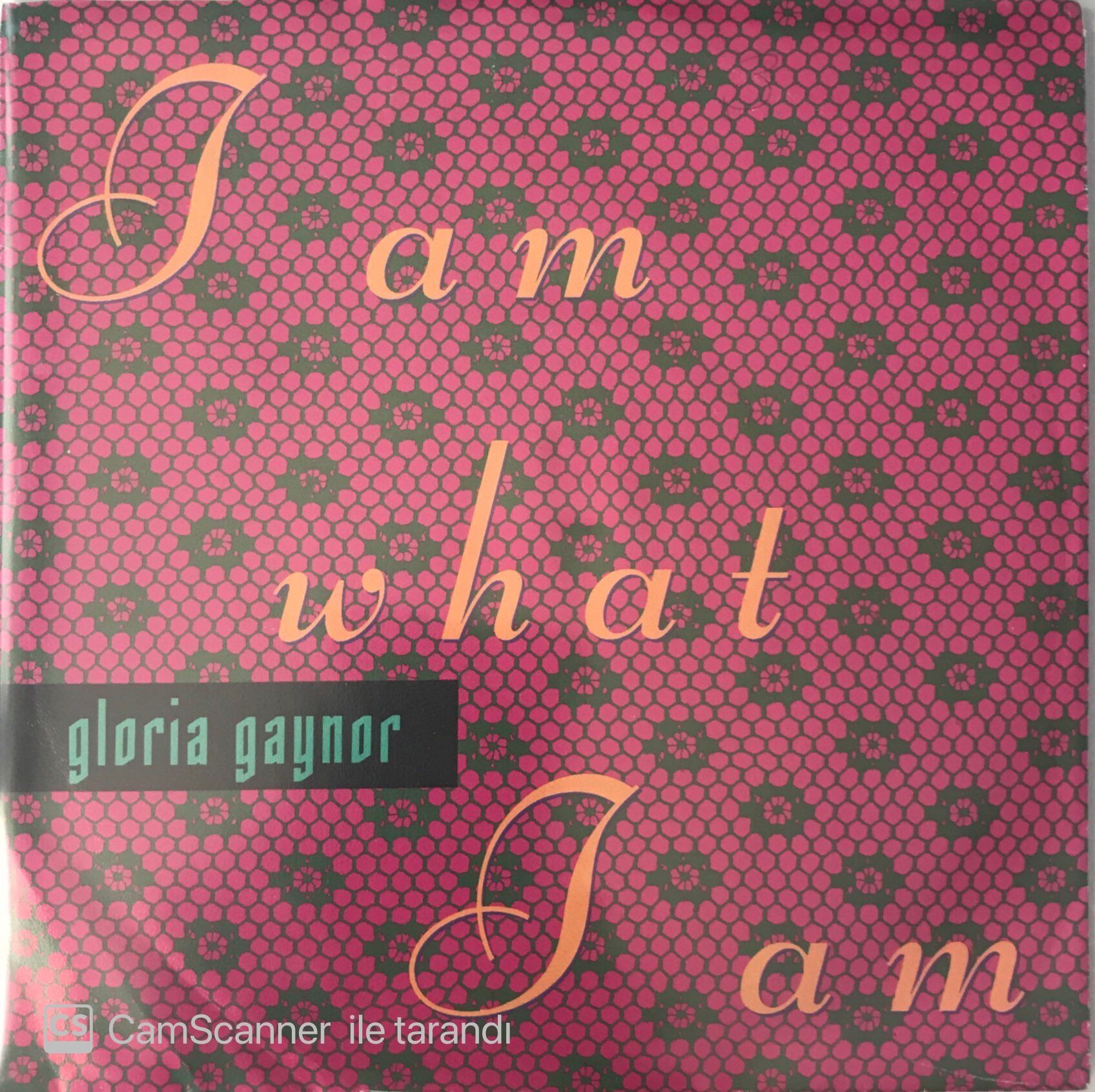 Gloria Gaynor - I Am What I Am 45lik