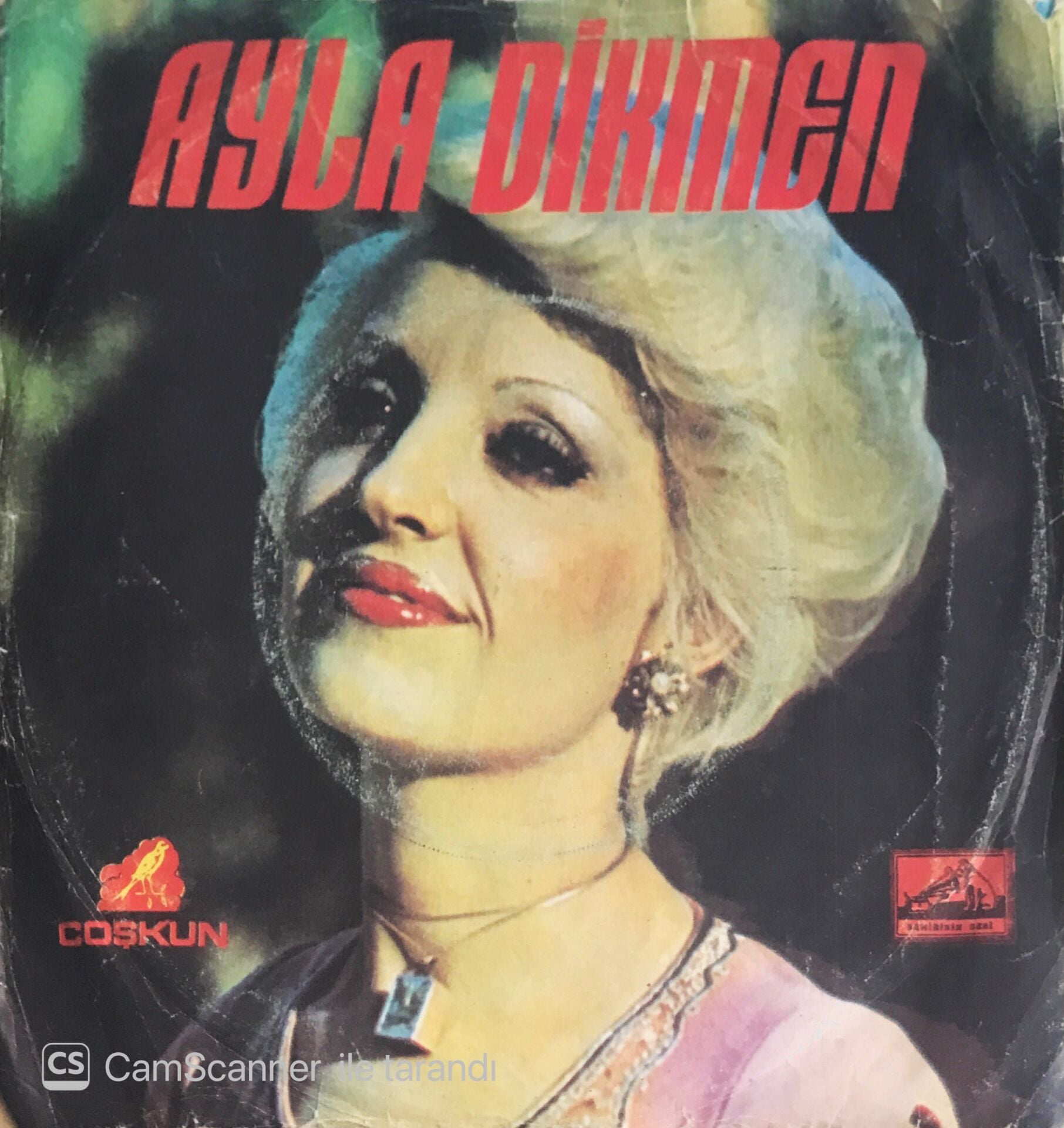 Ayla Dikmen - Onu Bunu Bilmem Kararlıyım/İlk Ve Son Aşkımsın - 45'lik