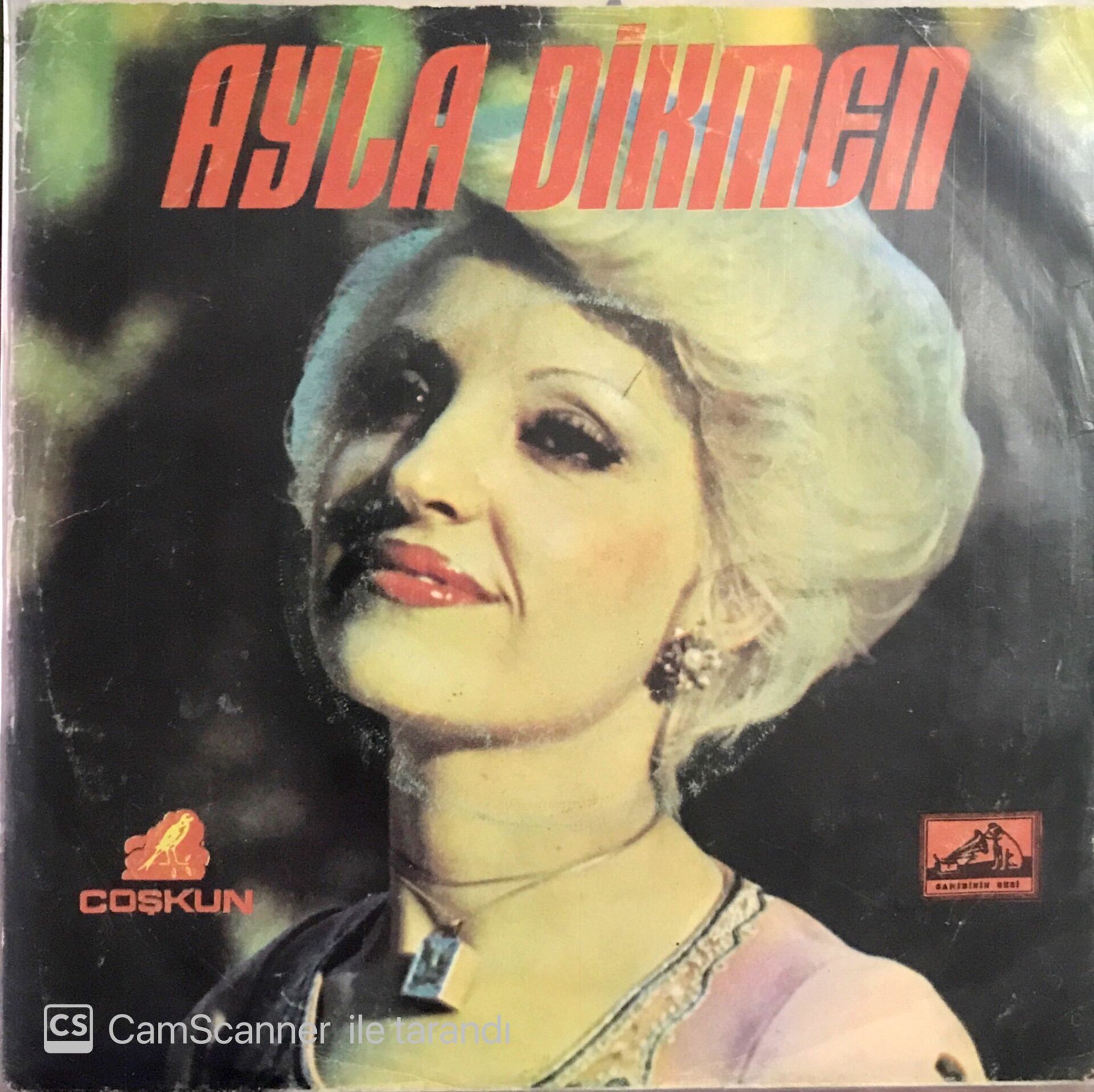Ayla Dikmen - Onu Bunu Bilmem Kararlıyım 45lik