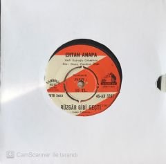 Ertan Anapa - Rüzgar Gibi Geçti 45lik