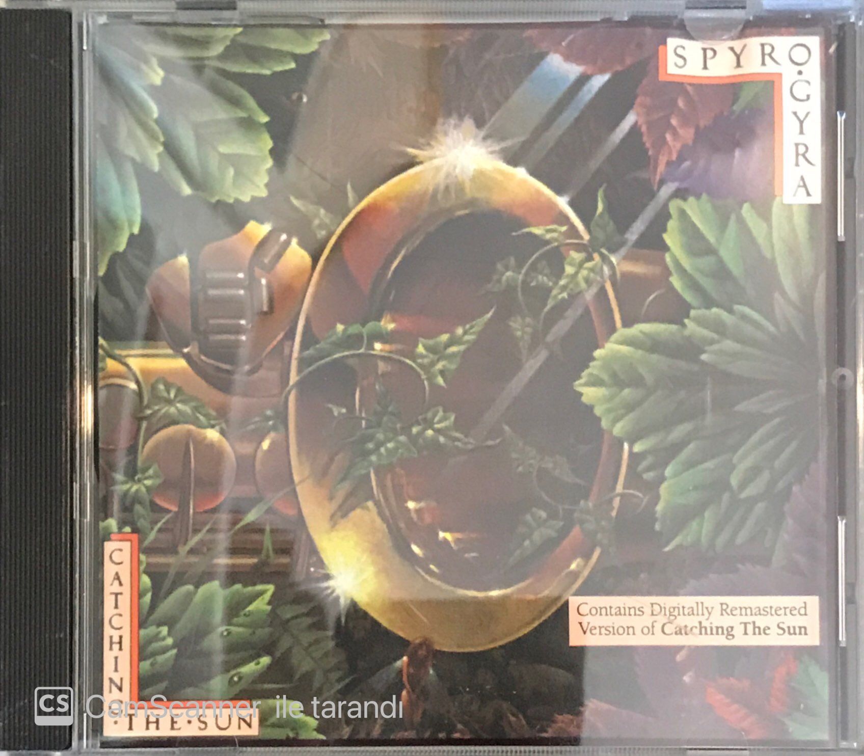 Spyro Gyra - Catching The Sun CD