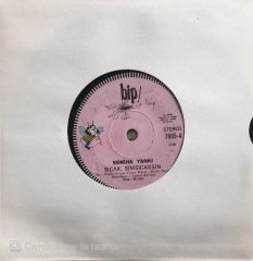 Semiha Yankı Sıcak Sımsıcaksın 45lik