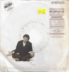 Paul Hardcastle - Don't Waste My Time/Moonhopper - 45'lik