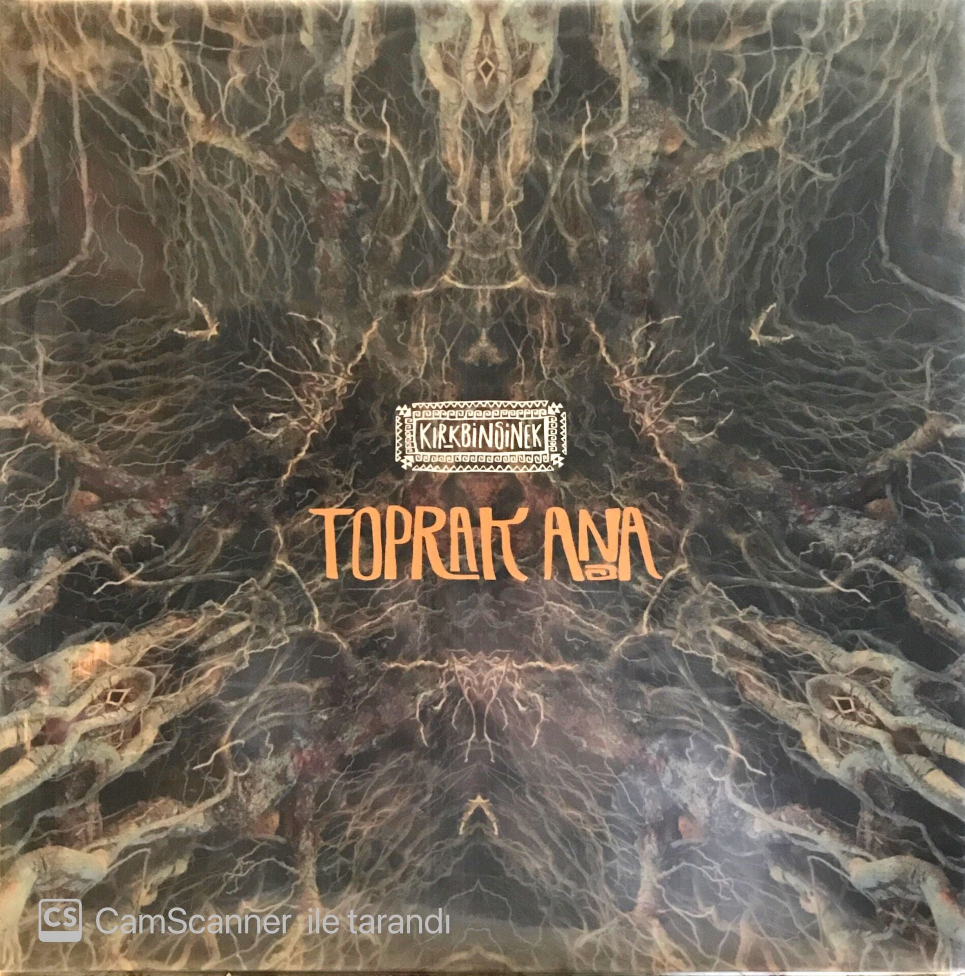 Kırkbinsinek - Toprak Ana LP