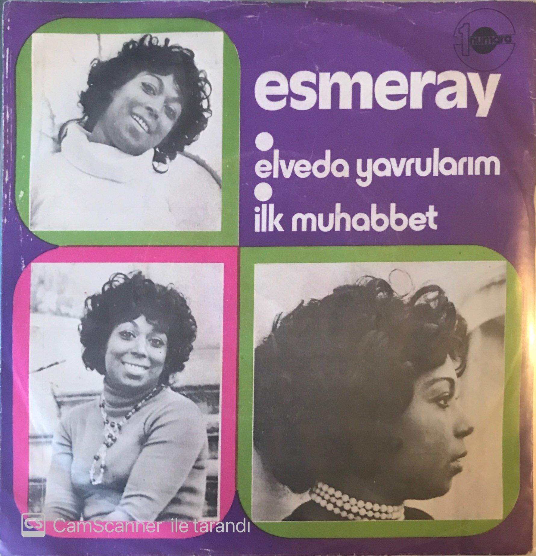 Esmeray Elveda Yavrularım 45lik