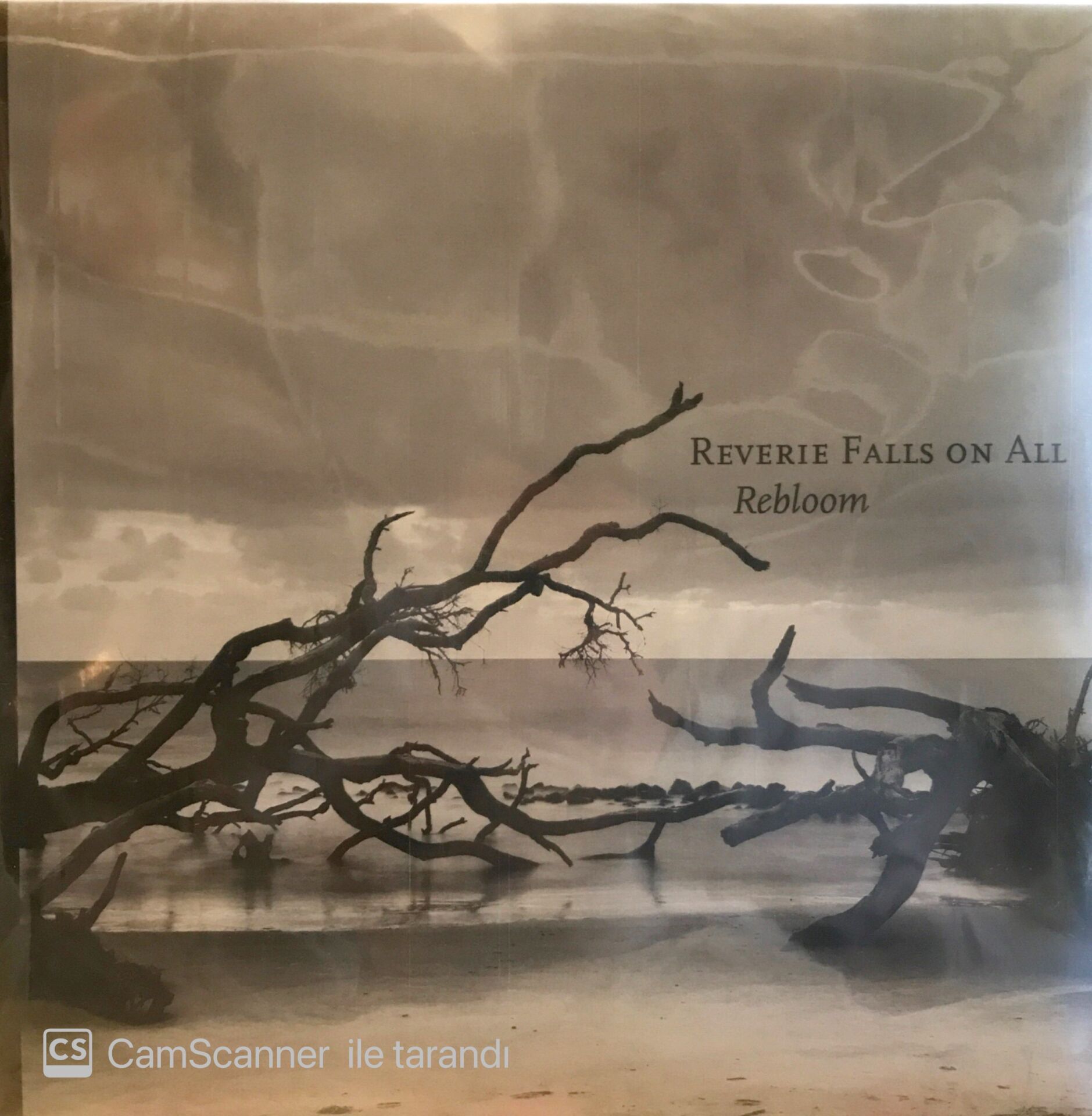 Rebloom - Reverie Falls on All LP