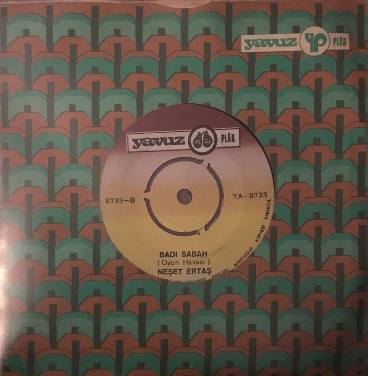 Neşet Ertaş Bir Çift Turna Gördüm 45lik