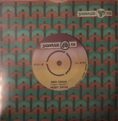 Neşet Ertaş Bir Çift Turna Gördüm 45lik