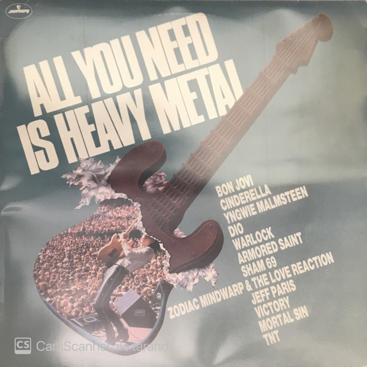 All You Need Is Heavy Metal LP