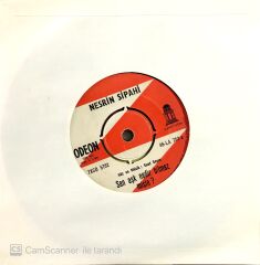 Nesrin Sipahi Sen Aşk Nedir Bilmez Misin? 45lik