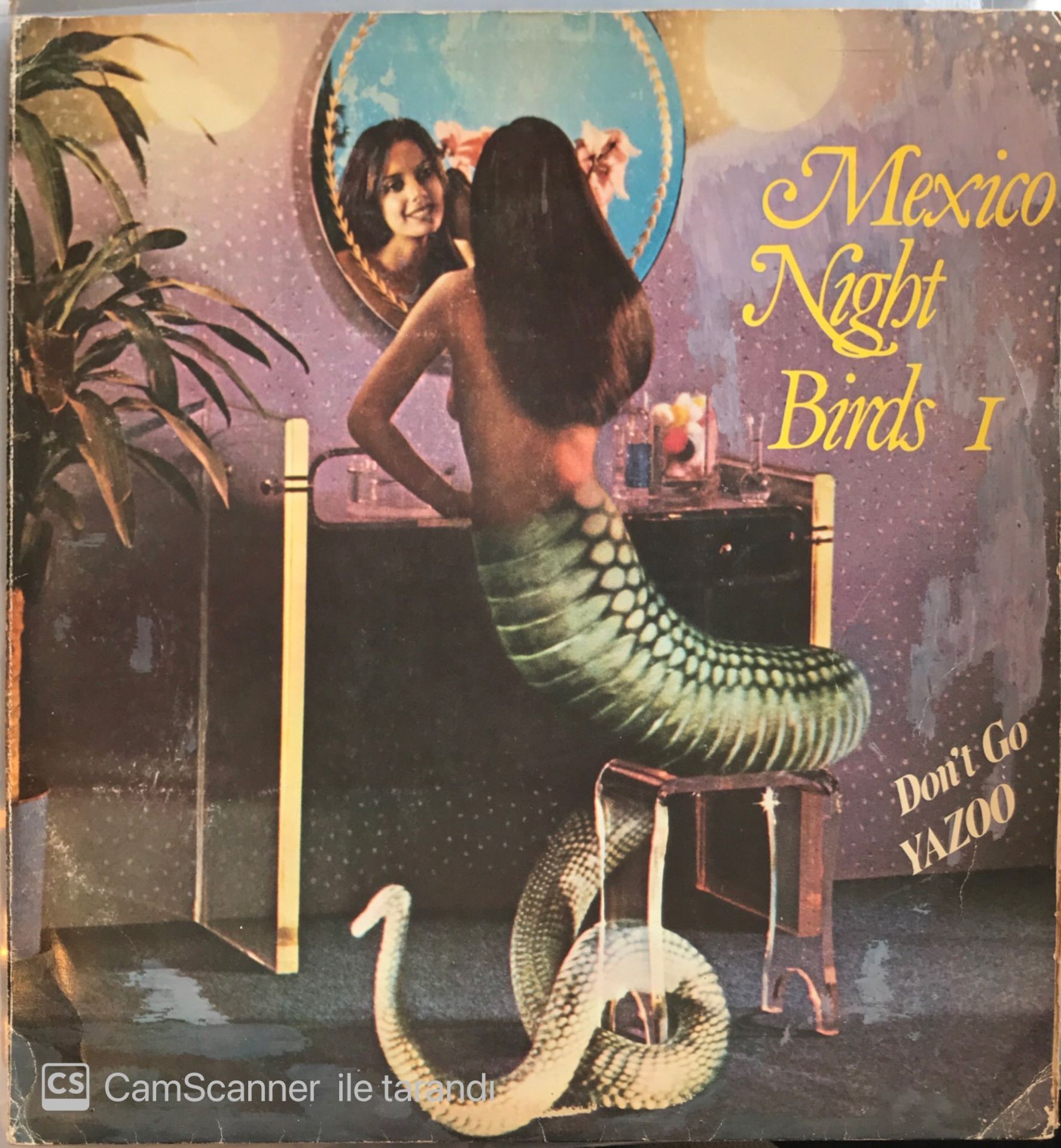 Mexico Night Birds I - Dont Go Yazoo LP