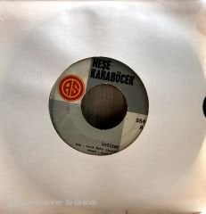 Neşe Karaböcek İntizar 45lik