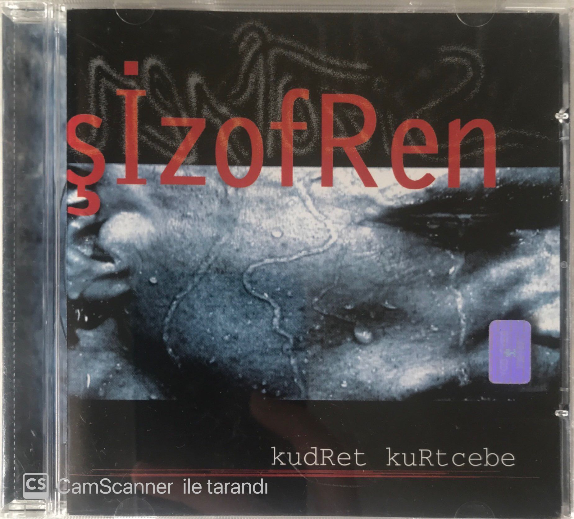 Kudret Kurtcebe Şizofren CD