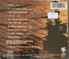 Larry Carlton - On Solid Ground CD