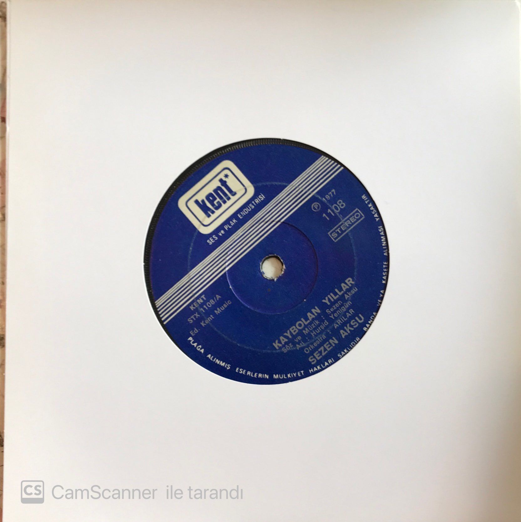 Sezen Aksu Kaybolan Yıllar 45lik