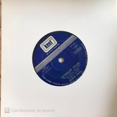 Sezen Aksu Kaybolan Yıllar 45lik