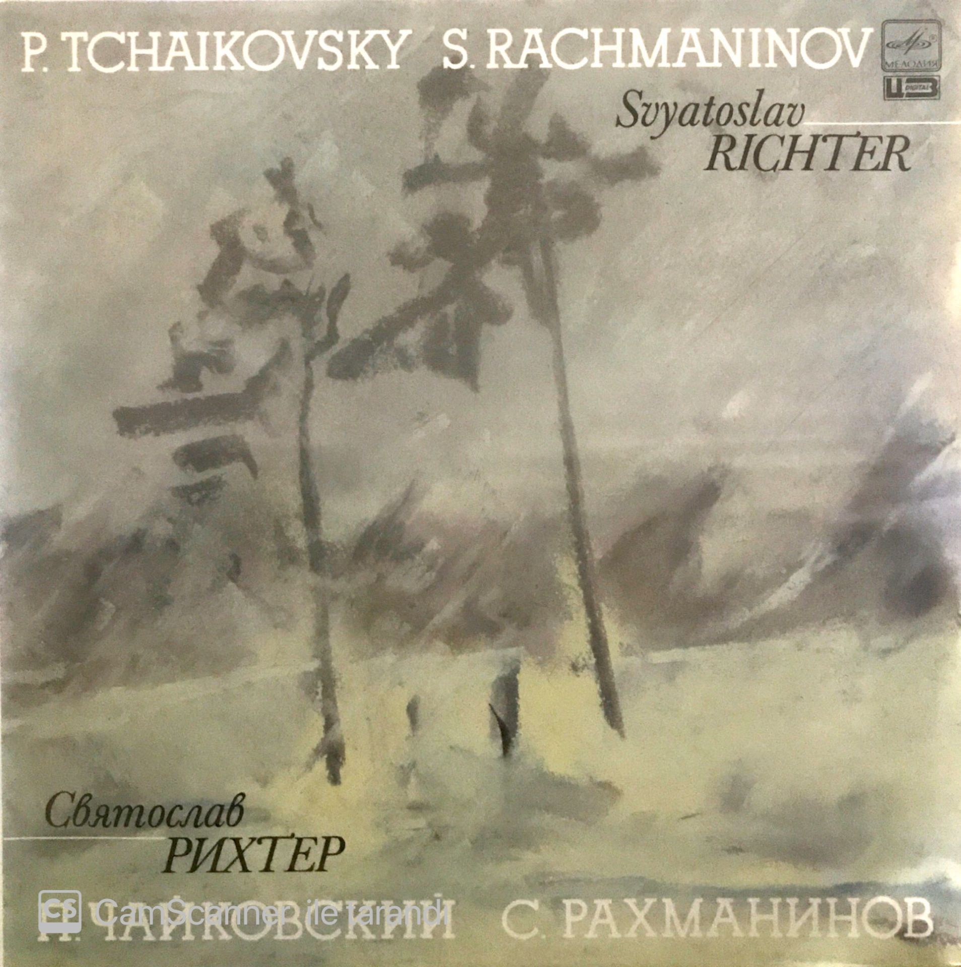 Tchaikovsky  S.Rachmaninov LP