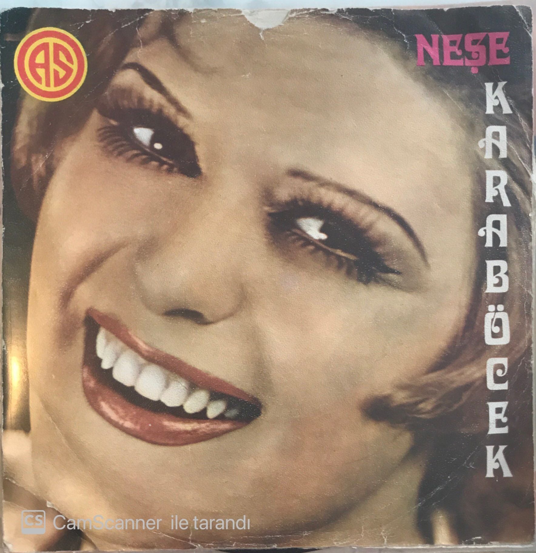 Neşe Karaböcek Kıskanırım Seni Ben 45lik