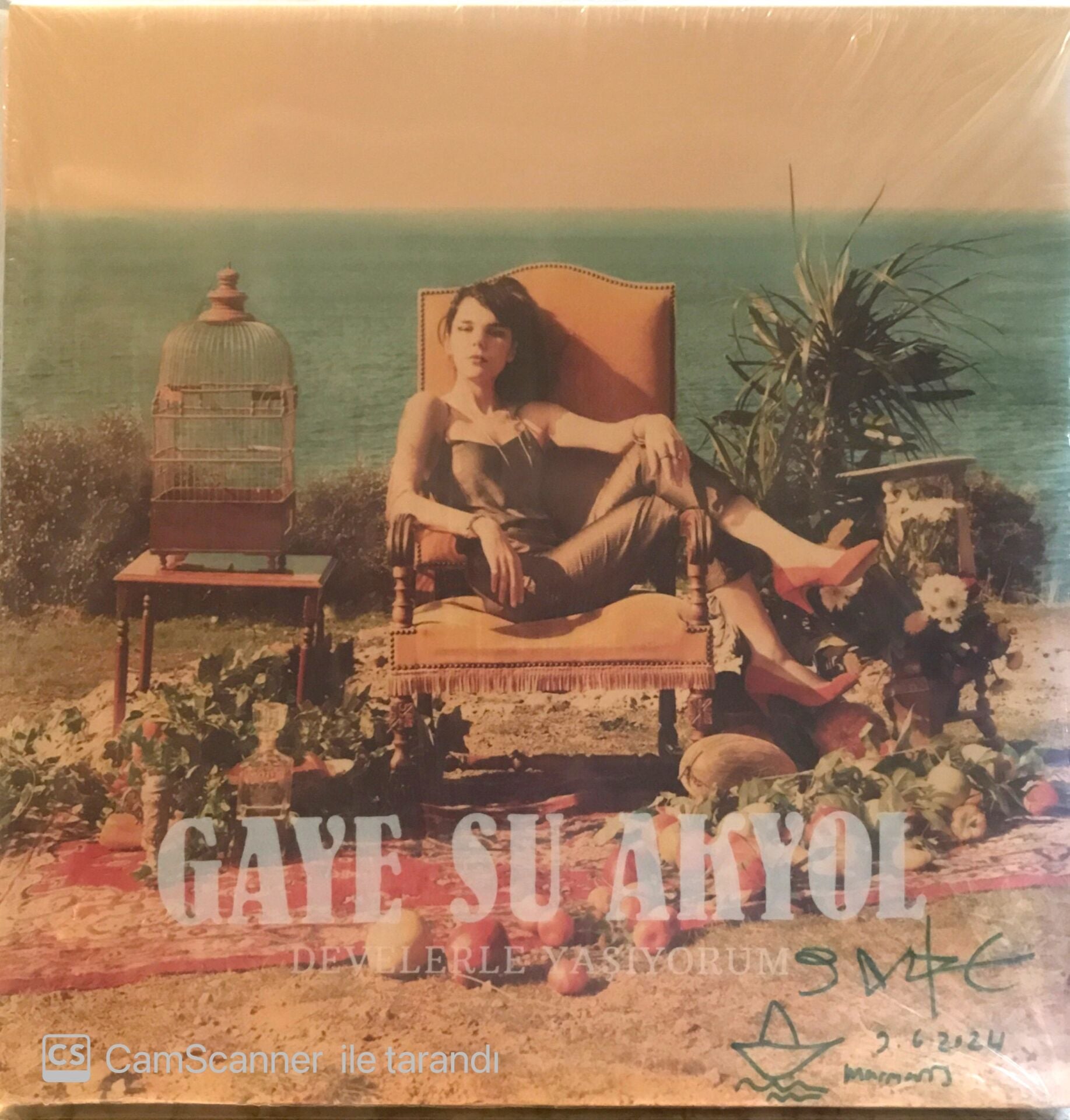 Gaye Su Akyol - Develerle Yaşıyorum (imzalı) LP