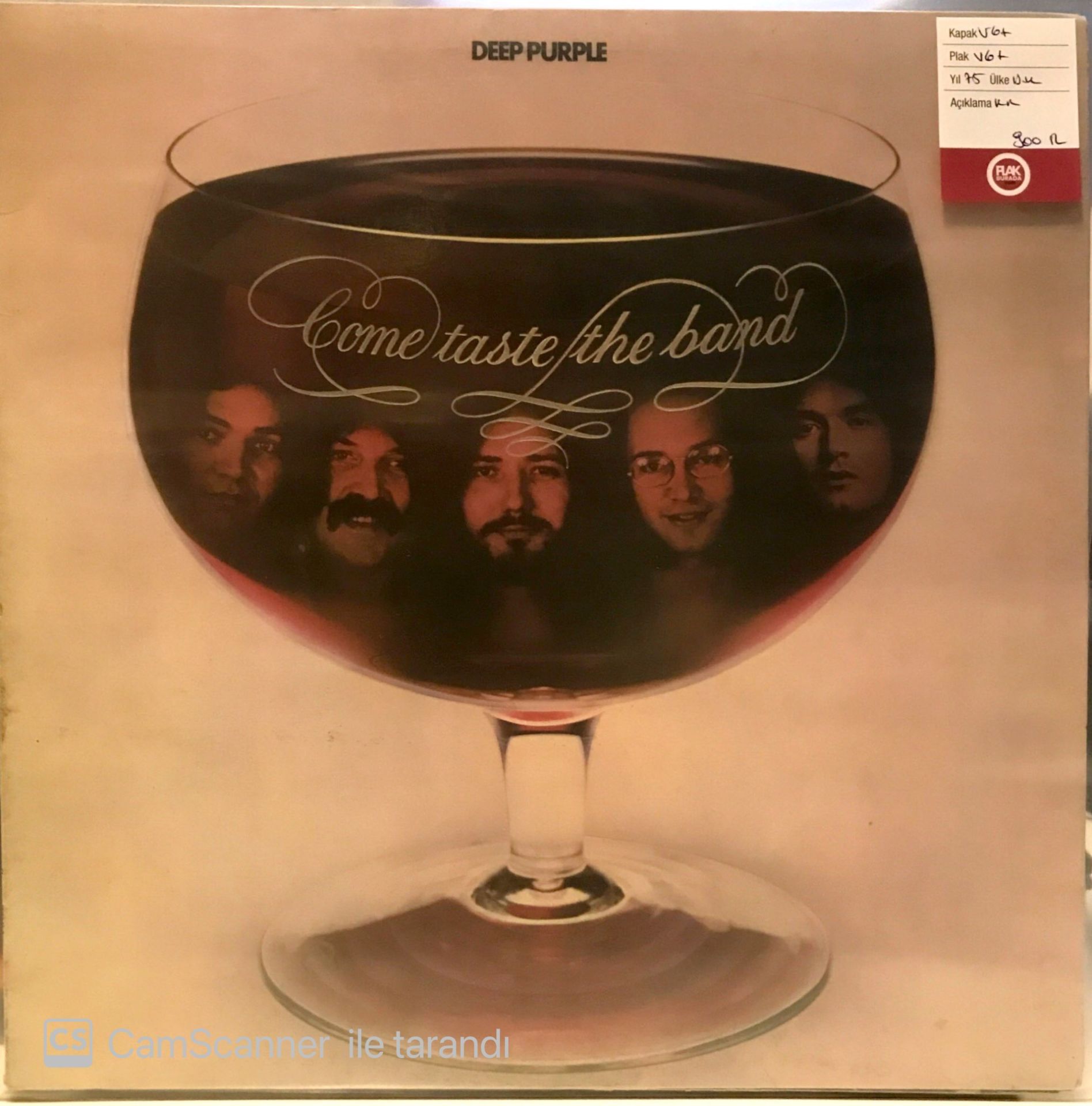 Deep Purple - Come Taste the Band LP