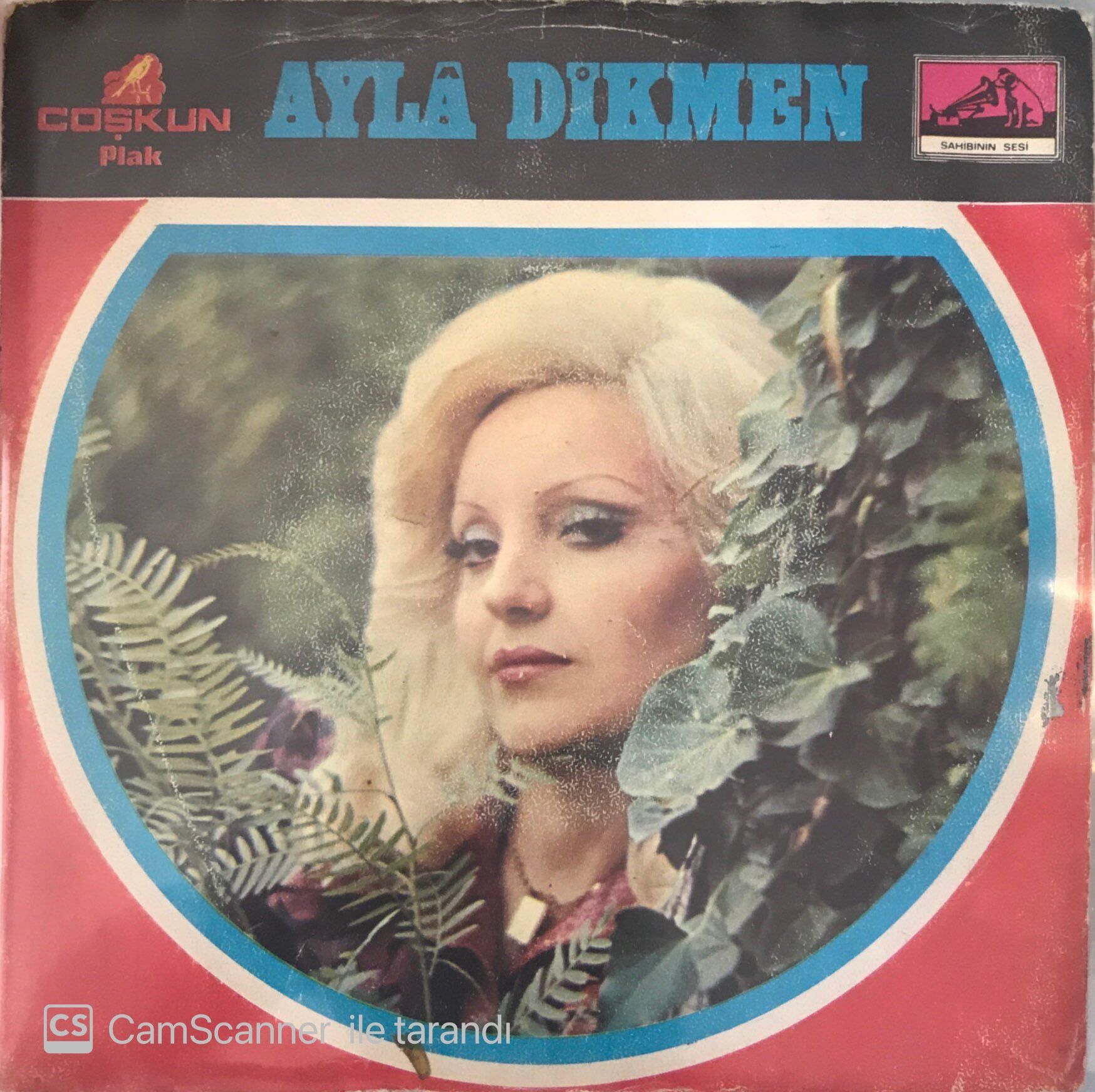 Ayla Dikmen Çoban Pınarı 45lik