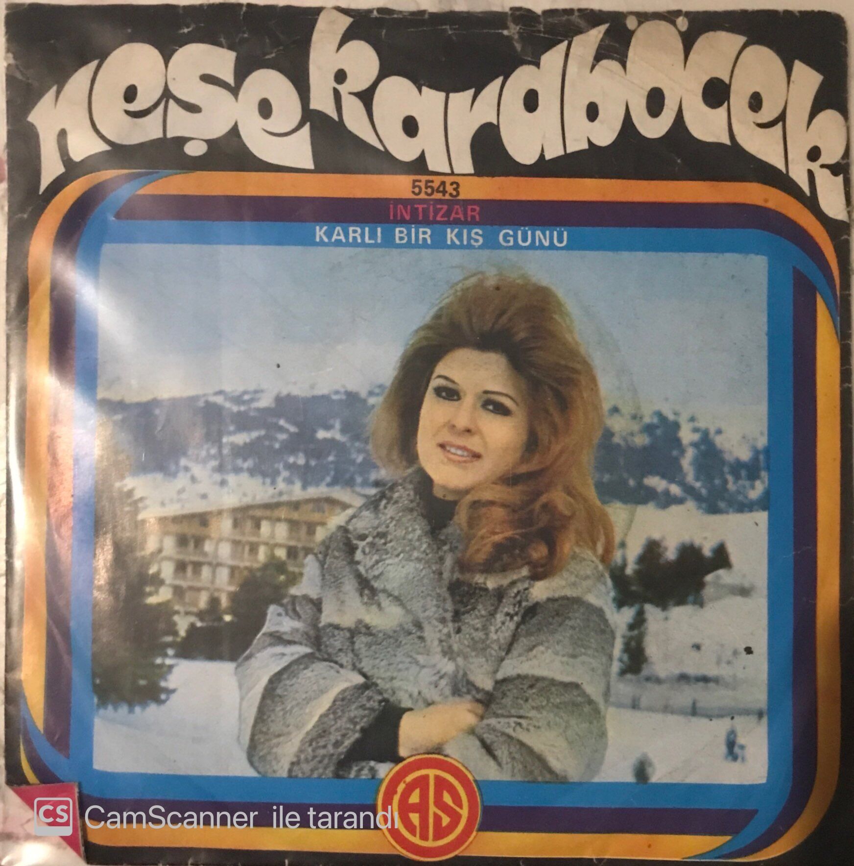 Neşe Karaböcek İntizar 45lik