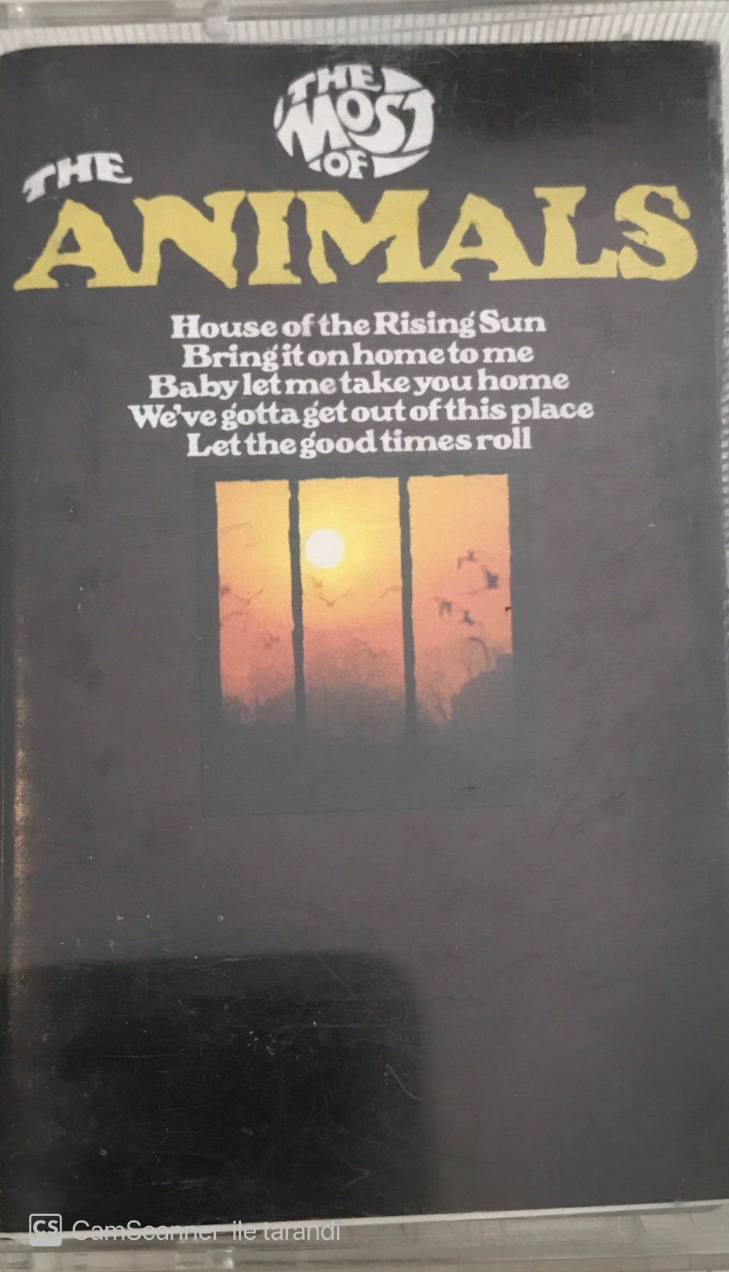 The Most Of The Animals KASET