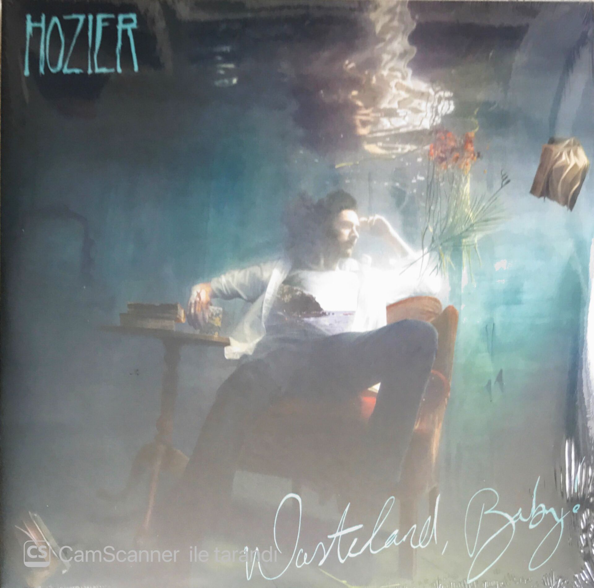 Hozier - Wasteland, Baby - Double LP