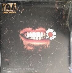 Hozier - Unreal Unearth - Double LP