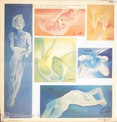 The Boomtown Rats -  The Fine Art Of Surfacing - LP