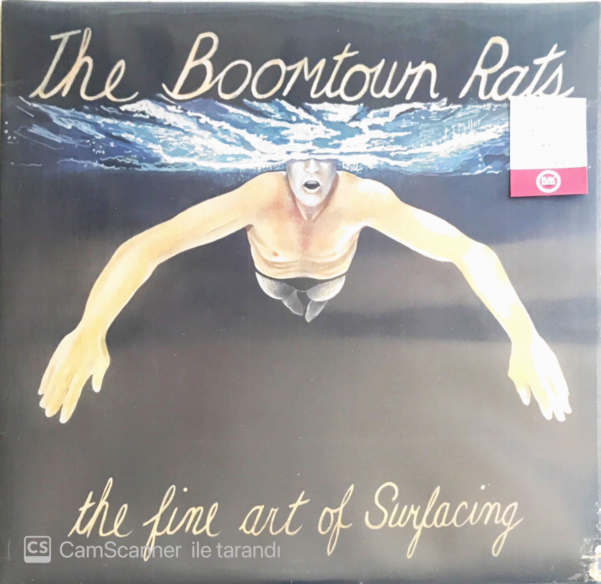 The Boomtown Rats -  The Fine Art Of Surfacing - LP