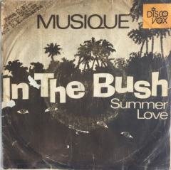 Musique In The Bush 45 lik