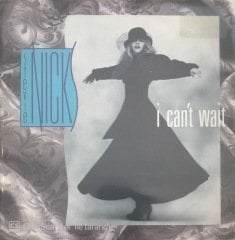 Stevie Nicks I Can't Wait 45lik