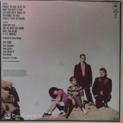 Cock Robin LP