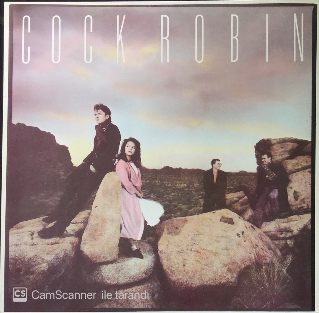 Cock Robin LP