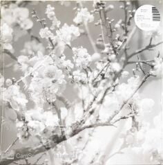 Masabumi Kikuchi - Hanamichi (The Final Studio Recording) - LP