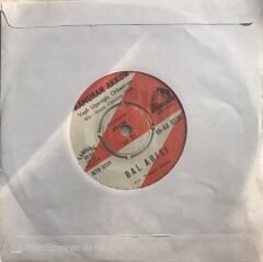 Kamuran Akkor Bal Arısı