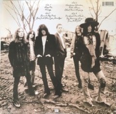 The Black Crowes The Southern Harmony and Musical Companion Çift LP
