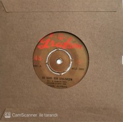 Ayten Alpman Bu Sana Son Seslenişim 45lik