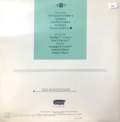 The Chameleons / The Fan And The Bellows LP