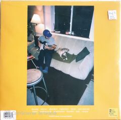 Mac Demarco - Guitar - LP